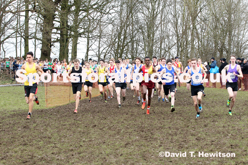 Mens under-17s, 2020 British Athletics Inter Counties Cross Country Champs., Prestwold Hall, Loughborough. Photo: David T. Hewitson/Sports for All Pics